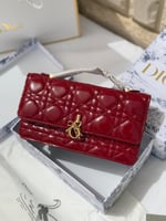 ديور مستر عنابي لمعة