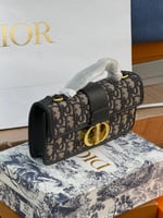 حقيبة ديور ميس مونتين