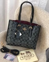 كوتش مستر كوالتي