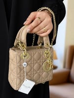 حقيبة ليدي ديور بيج صغير