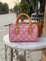 حقيبة لوي فيتون بنك