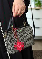 حقيبة سي اتش CH