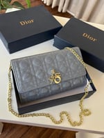 حقيبة ديور الوان