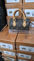 حقيبة لويس فيتون سبيدي نانو