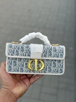 حقيبة ديور ميس مونتين