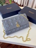 حقيبة ديور الوان