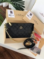 كوتش مستر كوالتي