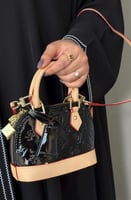 حقيبة لوي فيتون ألما ألوان متنوعة