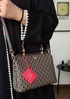 حقيبة سي اتش CH