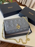 حقيبة ديور الوان