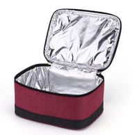 حقيبة غذاء كهربائيه