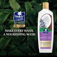 باراشوت زيت جوز الهند للشعر الغني بإكليل الجبل - 2...