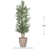 بيج
