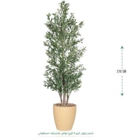 اصفر رملي