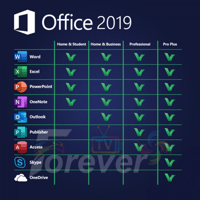 Microsoft Office Professional 2019 Life time - اوف...
