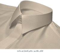 الخلية بيج
