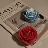 الورود الكبيره