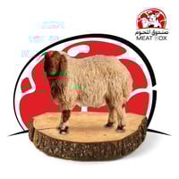 نعيمي كشميري لباني من 7 - 9 كيلو