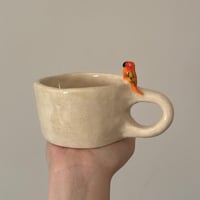 كوب طير الببغاء