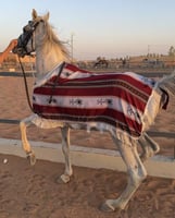 جلال زينه سدو