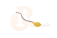 بطارية مذربورد لابتوب مع كيبل CR2032