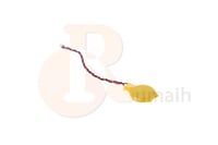 بطارية مذربورد لابتوب مع كيبل CR2032