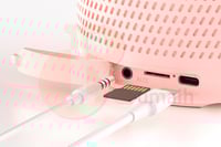 مايك مع سبيكر بلوتوث Karaoke Speaker DS-100