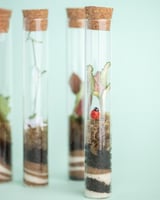 تراريوم المكتب