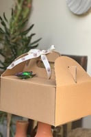 مجموعة التجارب