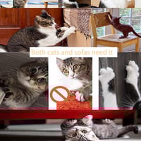 خداشة قطط للكنب