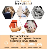 خداشة قطط للكنب