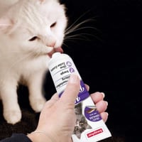 بيفار معجون الشعير مضاد لكرات الشعر للقطط 100 غ