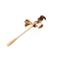 عصا على شكل ريش