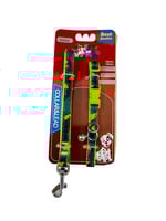 طوق قطط و كلاب صغيرة مع حبل تنزه