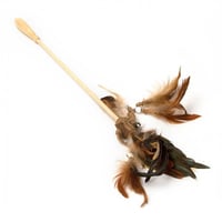 عصا على شكل ريش