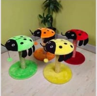 خداشة مع كرة لعب للقطط الصغيرة