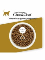 شات اند شات طعام القطط الجاف الدجاج للقطط البالغة...