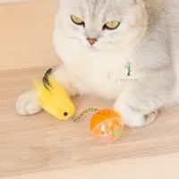 لعبة كوره مع الفأر 3 قطع للقطط