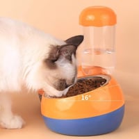 مشربية ومأكلية ستيل كبيرة للقطط