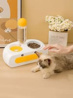 مشربية وصحن اكل للقطط