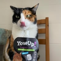 يو اب اظرف زبادي طبيعي غني بالكالسيوم و البريبا يو...