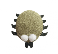 كاتنب اللقطط