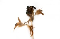 عصا على شكل ريش