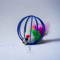 لعبة قطط كوره على فأر