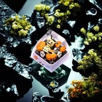 كي كابز بوكيمون | Pokemon