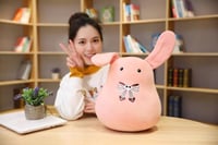 دمية الارنب هاناكو | Hanako kun