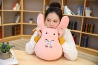 دمية الارنب هاناكو | Hanako kun