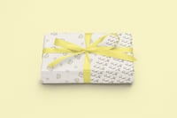 هودي غون ، كيلوا - HXH | براند كارتون