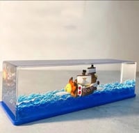 صندوق ساني قو الزجاجي | One piece