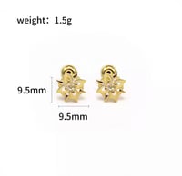 اقراط قنشن | Genshin Impact